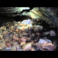 Po stopach Nagela - video