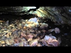 Po stopach Nagela - video