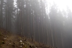 DSC03895