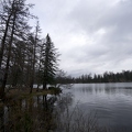 DSC04772