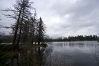 DSC04772