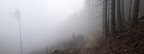 pano1