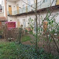 DSC 0007