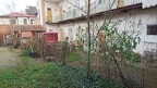 DSC 0007