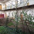 DSC 0003