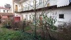 DSC 0003