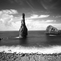DSC07374bw
