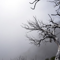 DSC08140